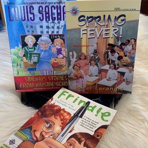 School theme 3 chapter books about school